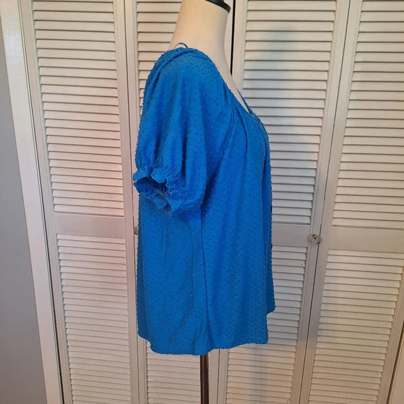 Philosophy seafarer blue chenille oversized boho blouse top NWT LG *D5 - Picture 2 of 7